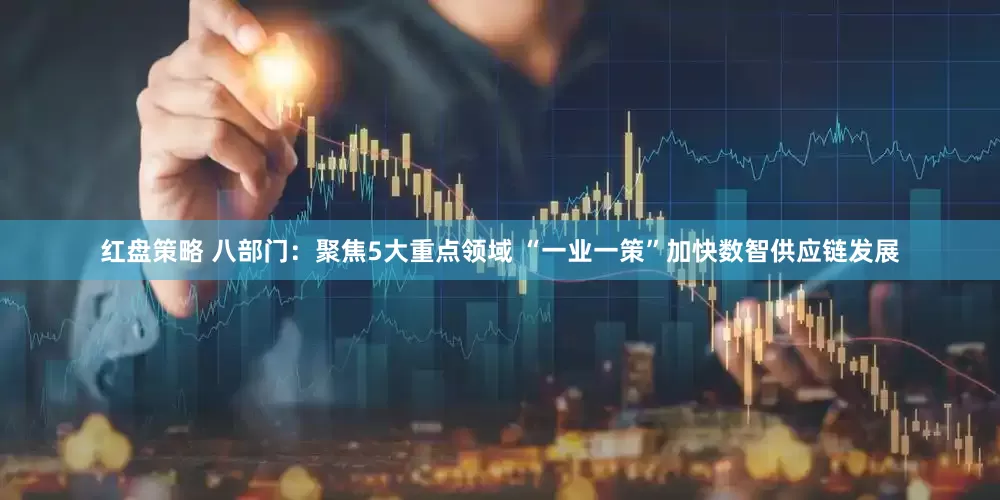 红盘策略 八部门：聚焦5大重点领域 “一业一策”加快数智供应链发展