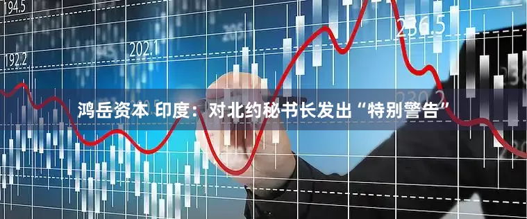鸿岳资本 印度：对北约秘书长发出“特别警告”